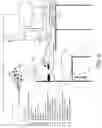 Fig. 10 - Brain Activation Matching