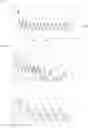 Fig. 06 - Device for diagnosing brain disease