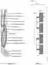 Fig. 03 - Antenna array or a group of antenna elements for biomarker monitoring, nerve stimulations and methods of use