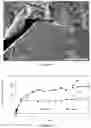 Fig. 06 - HIGHLY LOADED METAL OXIDE MATERIALS BY SELF-ASSEMBLY FOR EXTENDED BIOLOGICALLY ACTIVE MOLECULE RELEASE IN MEDICAL AND DENTAL APPLICATIONS