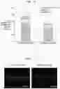 Fig. 06 - MULTILAYERED CATIONIC LIPOSOME FOR ENHANCING SKIN ABSORPTION AND PREPARATION METHOD THEREFOR