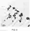 Fig. 06 - Methods for the preparation of biologically active compounds in nanoparticulate form