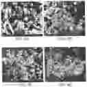 Fig. 09 - Methods for the preparation of biologically active compounds in nanoparticulate form