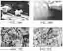Fig. 16 - Methods for the preparation of biologically active compounds in nanoparticulate form