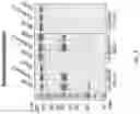 Fig. 06 - Multivalent nanoparticle-based vaccines