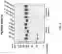 Fig. 07 - Multivalent nanoparticle-based vaccines