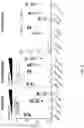 Fig. 09 - Multivalent nanoparticle-based vaccines