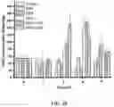 Fig. 12 - Polymerized whey protein encapsulated antioxidant compound and a process for preparation of same