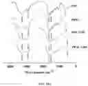 Fig. 28 - Polymerized whey protein encapsulated antioxidant compound and a process for preparation of same