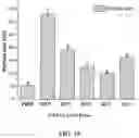 Fig. 30 - Polymerized whey protein encapsulated antioxidant compound and a process for preparation of same