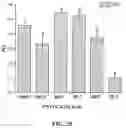 Fig. 31 - Polymerized whey protein encapsulated antioxidant compound and a process for preparation of same