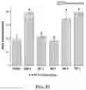 Fig. 32 - Polymerized whey protein encapsulated antioxidant compound and a process for preparation of same