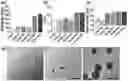 Fig. 01 - NANOCAPSULES COATED WITH CHITOSAN AND USE THEREOF