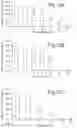 Fig. 08 - COMPOSITIONS COMPRISING CANNABIDIOL AND SECOND THERAPEUTIC AGENTS FOR THE TREATMENT OF CANCER