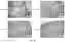 Fig. 04 - Agents for reversing toxic proteinopathies