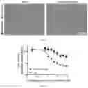 Fig. 14 - Agents for reversing toxic proteinopathies