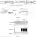 Fig. 25 - Agents for reversing toxic proteinopathies