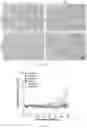 Fig. 26 - Agents for reversing toxic proteinopathies