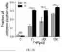 Fig. 32 - Agents for reversing toxic proteinopathies