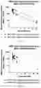 Fig. 40 - Agents for reversing toxic proteinopathies