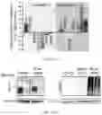 Fig. 55 - Agents for reversing toxic proteinopathies