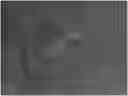 Fig. 01 - Methods and compositions including protocatechuic acid crystals for the treatment of conditions caused by an enveloped virus