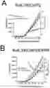Fig. 01 - KCHIP2 MODULATOR COMPOUNDS AND THEIR USE FOR THE TREATMENT OF CARDIOVASCULAR DISEASES