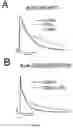 Fig. 02 - KCHIP2 MODULATOR COMPOUNDS AND THEIR USE FOR THE TREATMENT OF CARDIOVASCULAR DISEASES