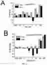 Fig. 03 - KCHIP2 MODULATOR COMPOUNDS AND THEIR USE FOR THE TREATMENT OF CARDIOVASCULAR DISEASES