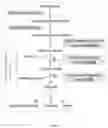 Fig. 06 - Personalized methods of treating cancer