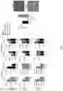 Fig. 12 - Personalized methods of treating cancer
