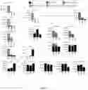 Fig. 18 - Personalized methods of treating cancer