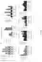 Fig. 20 - Personalized methods of treating cancer