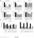 Fig. 23 - Personalized methods of treating cancer