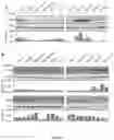 Fig. 27 - Personalized methods of treating cancer