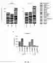 Fig. 40 - Personalized methods of treating cancer
