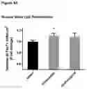 Fig. 06 - NOVEL POLYMETHOXYFLAVONE COMPOUNDS FOR SKELETAL MUSCLE MODULATION, METHODS AND USES THEREOF