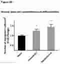 Fig. 07 - NOVEL POLYMETHOXYFLAVONE COMPOUNDS FOR SKELETAL MUSCLE MODULATION, METHODS AND USES THEREOF