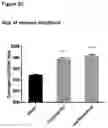 Fig. 08 - NOVEL POLYMETHOXYFLAVONE COMPOUNDS FOR SKELETAL MUSCLE MODULATION, METHODS AND USES THEREOF
