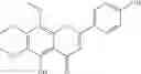 Fig. 19 - NOVEL POLYMETHOXYFLAVONE COMPOUNDS FOR SKELETAL MUSCLE MODULATION, METHODS AND USES THEREOF