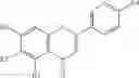 Fig. 40 - NOVEL POLYMETHOXYFLAVONE COMPOUNDS FOR SKELETAL MUSCLE MODULATION, METHODS AND USES THEREOF