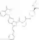 Fig. 154 - INDUCTION OF SUSTAINED LOCAL INFLAMMATION