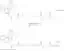 Fig. 167 - INDUCTION OF SUSTAINED LOCAL INFLAMMATION