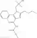 Fig. 20 - INDUCTION OF SUSTAINED LOCAL INFLAMMATION