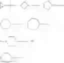 Fig. 24 - INDUCTION OF SUSTAINED LOCAL INFLAMMATION