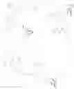 Fig. 136 - OPIOID COMPOSITIONS RESISTANT TO OVERDOSE AND ABUSE