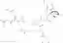 Fig. 158 - OPIOID COMPOSITIONS RESISTANT TO OVERDOSE AND ABUSE