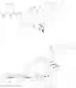 Fig. 170 - OPIOID COMPOSITIONS RESISTANT TO OVERDOSE AND ABUSE