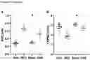 Fig. 02 - METHODS OF TREATING RIGHT VENTRICULAR FUNCTION IN PULMONARY HYPERTENSION