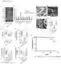 Fig. 06 - METHODS OF TREATING RIGHT VENTRICULAR FUNCTION IN PULMONARY HYPERTENSION